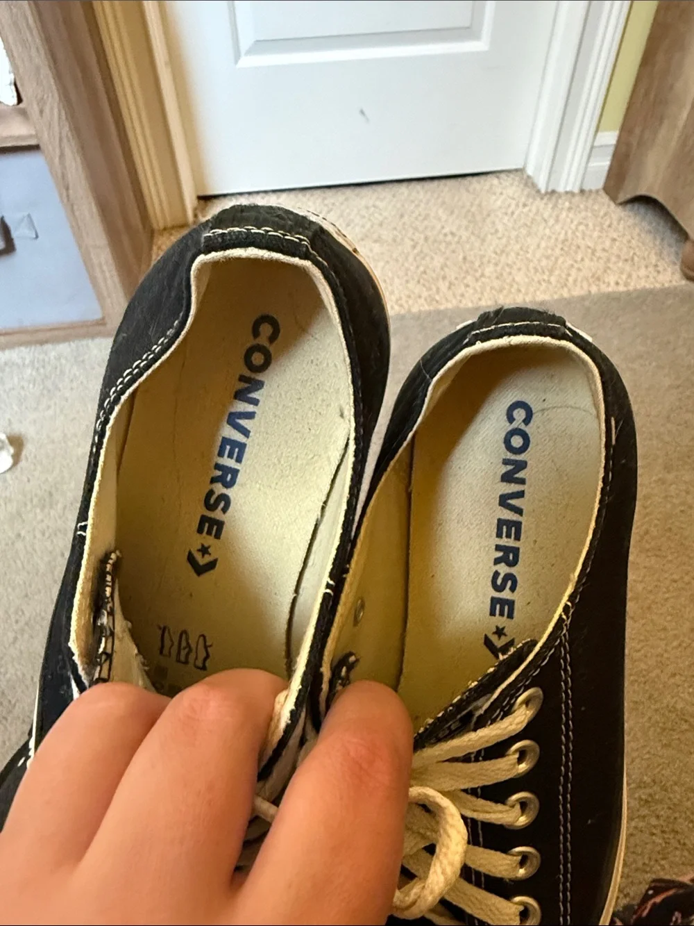 Converse Black and White Low Top Sneakers
